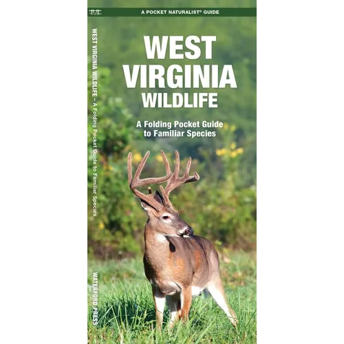 West Virginia Wildlife: An Introduction to Familiar Species