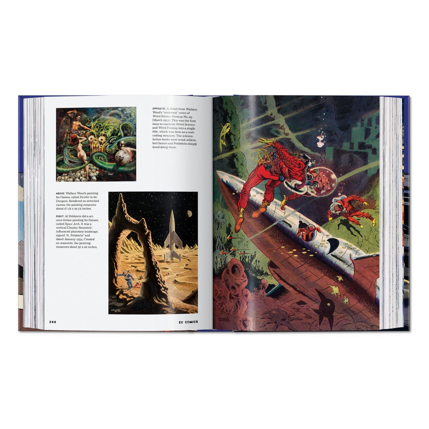 EC Comics. The New Trend 1950–54. 45th Ed. (English) Book