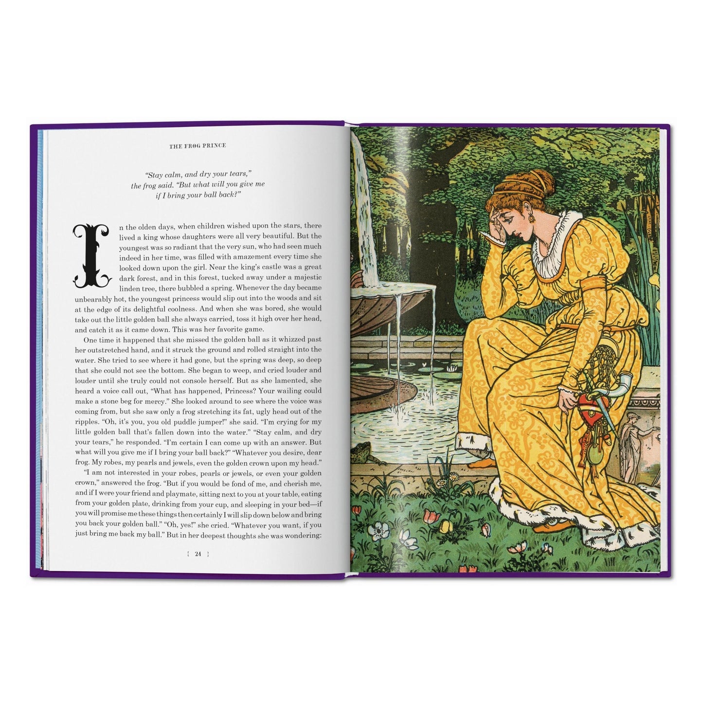 The Fairy Tales of the Brothers Grimm (English) Book