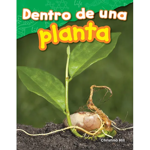 Dentro de Una Planta