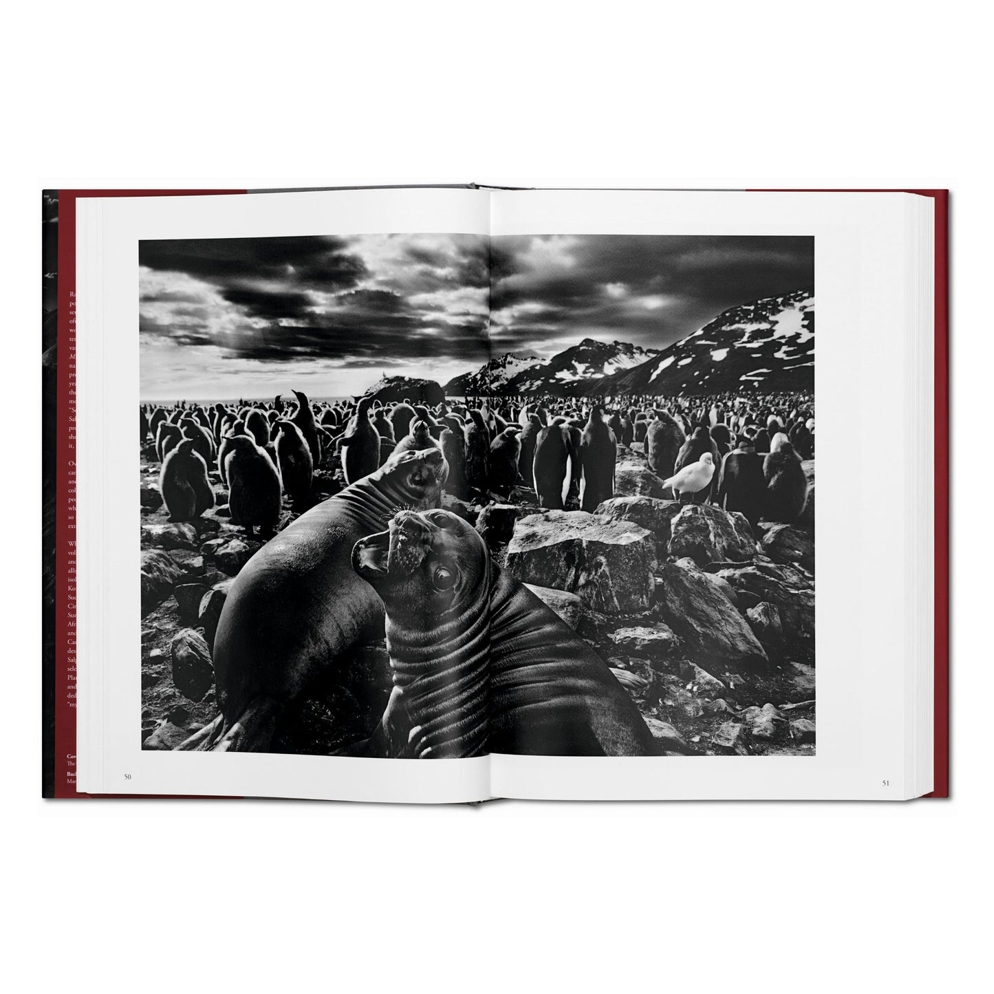 Sebastião Salgado. Genesis (English) Book
