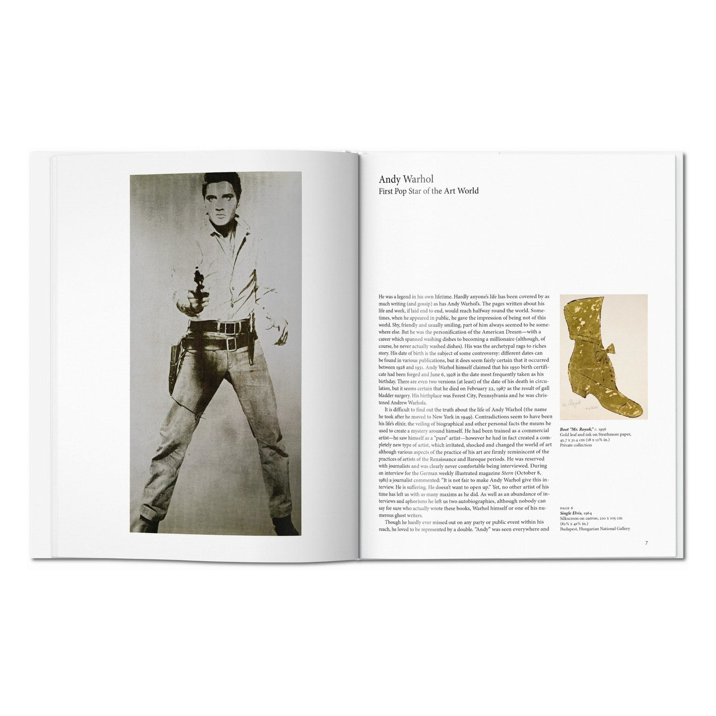 Warhol (English) Book
