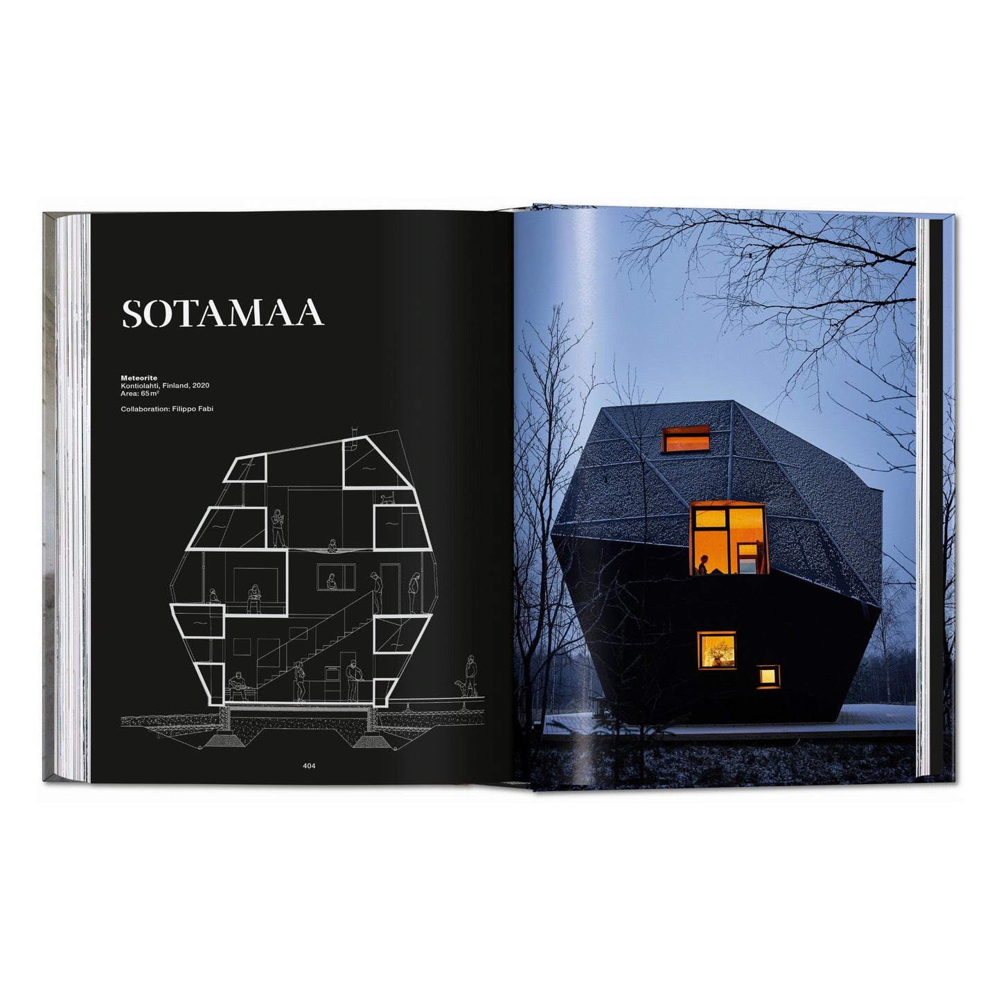Homes For Our Time. Small Houses. 45th Ed. (German, French, English) Book