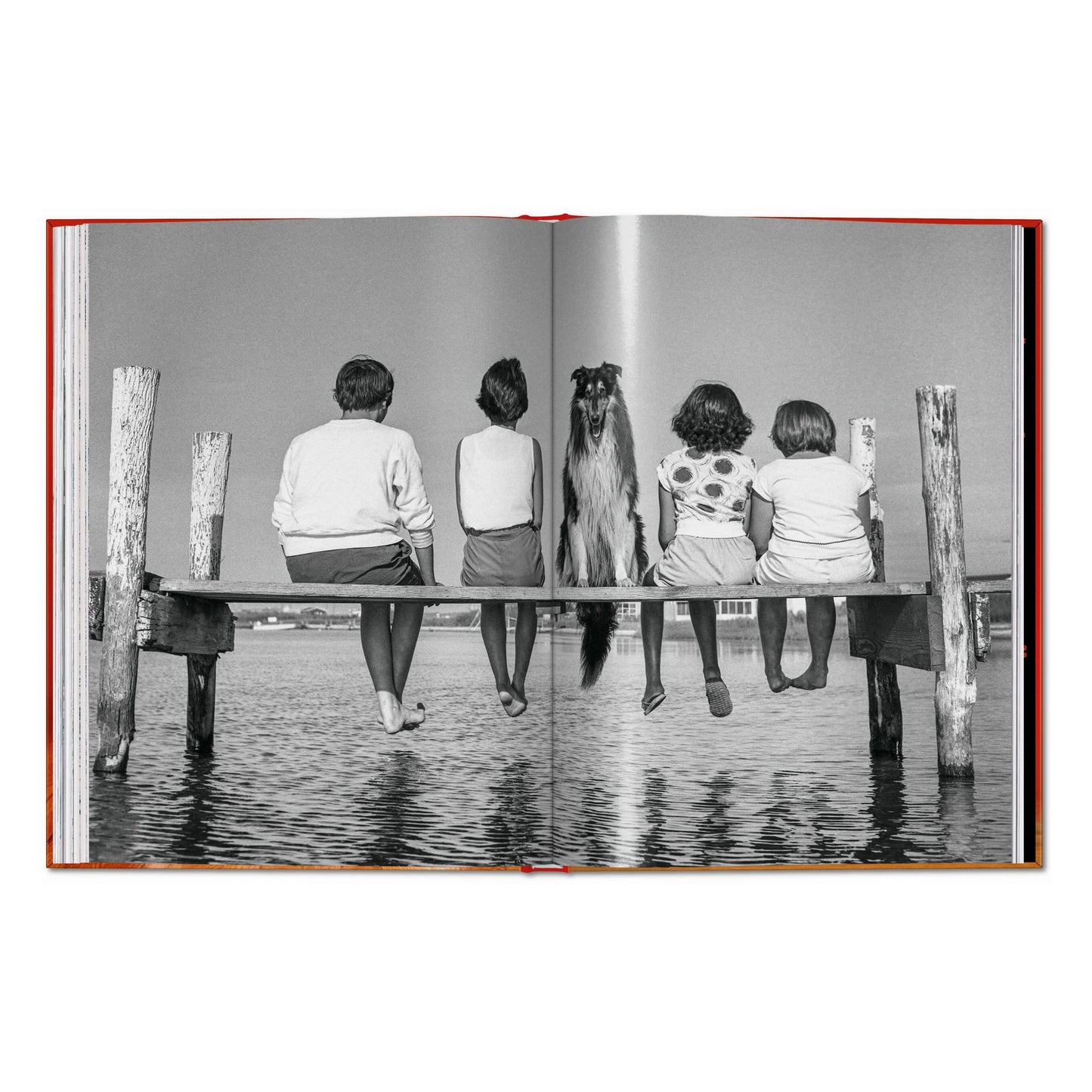 Walter Chandoha. Dogs. Photographs 1941–1991 (English) Book