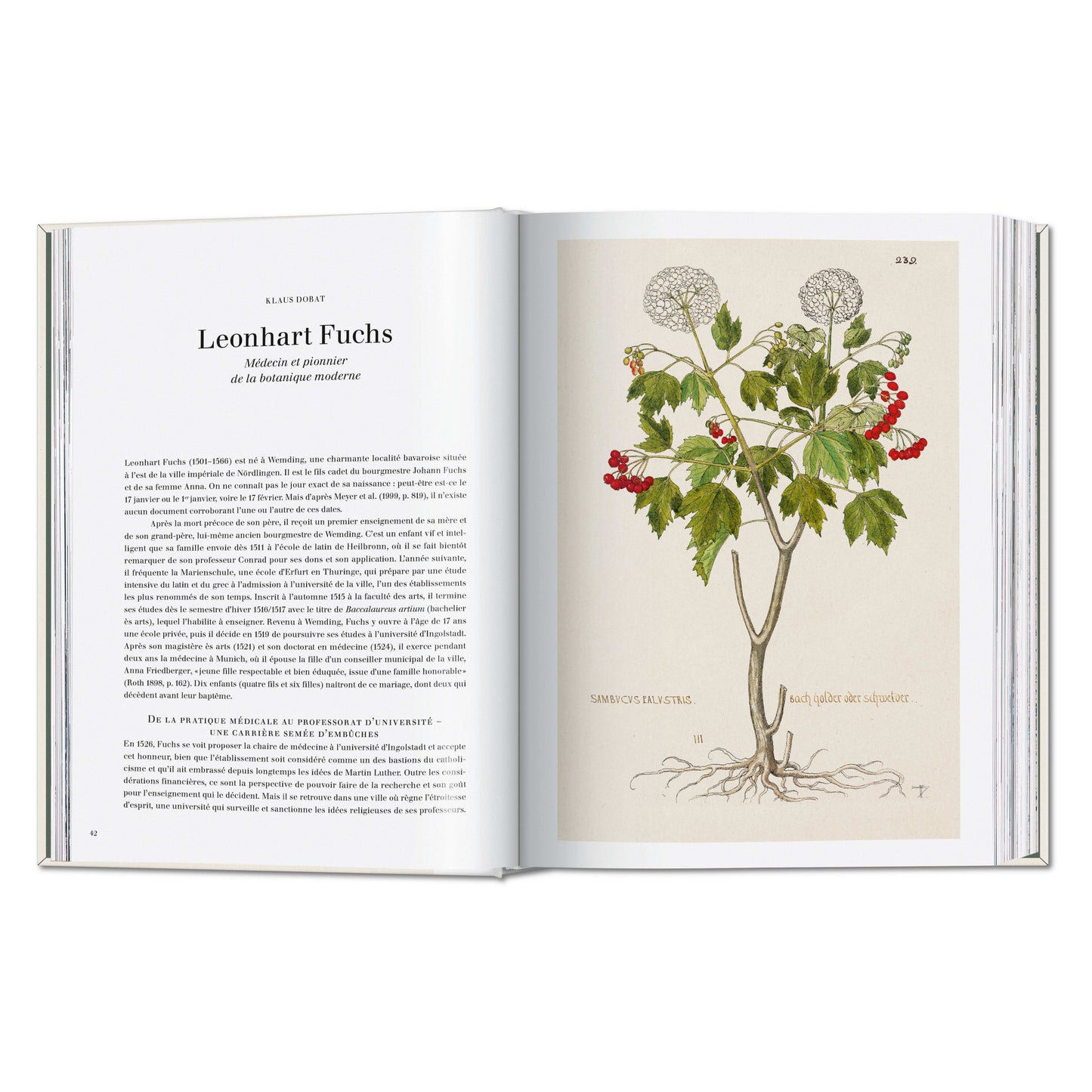 Leonhart Fuchs. The New Herbal (German, French, English) Book