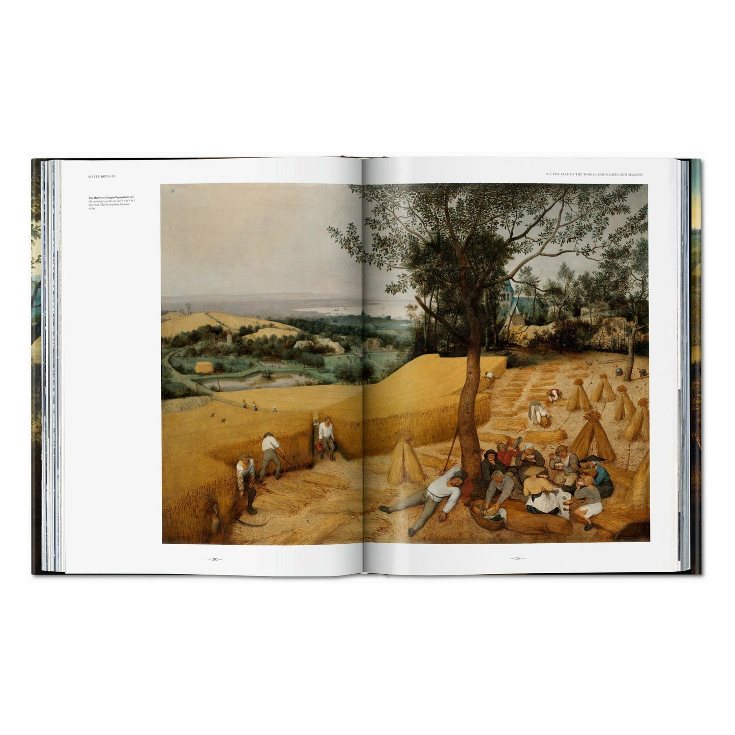 Bruegel. The Complete Works (English) Book