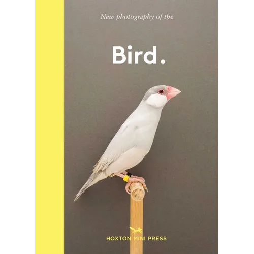 New Photography of the Bird.