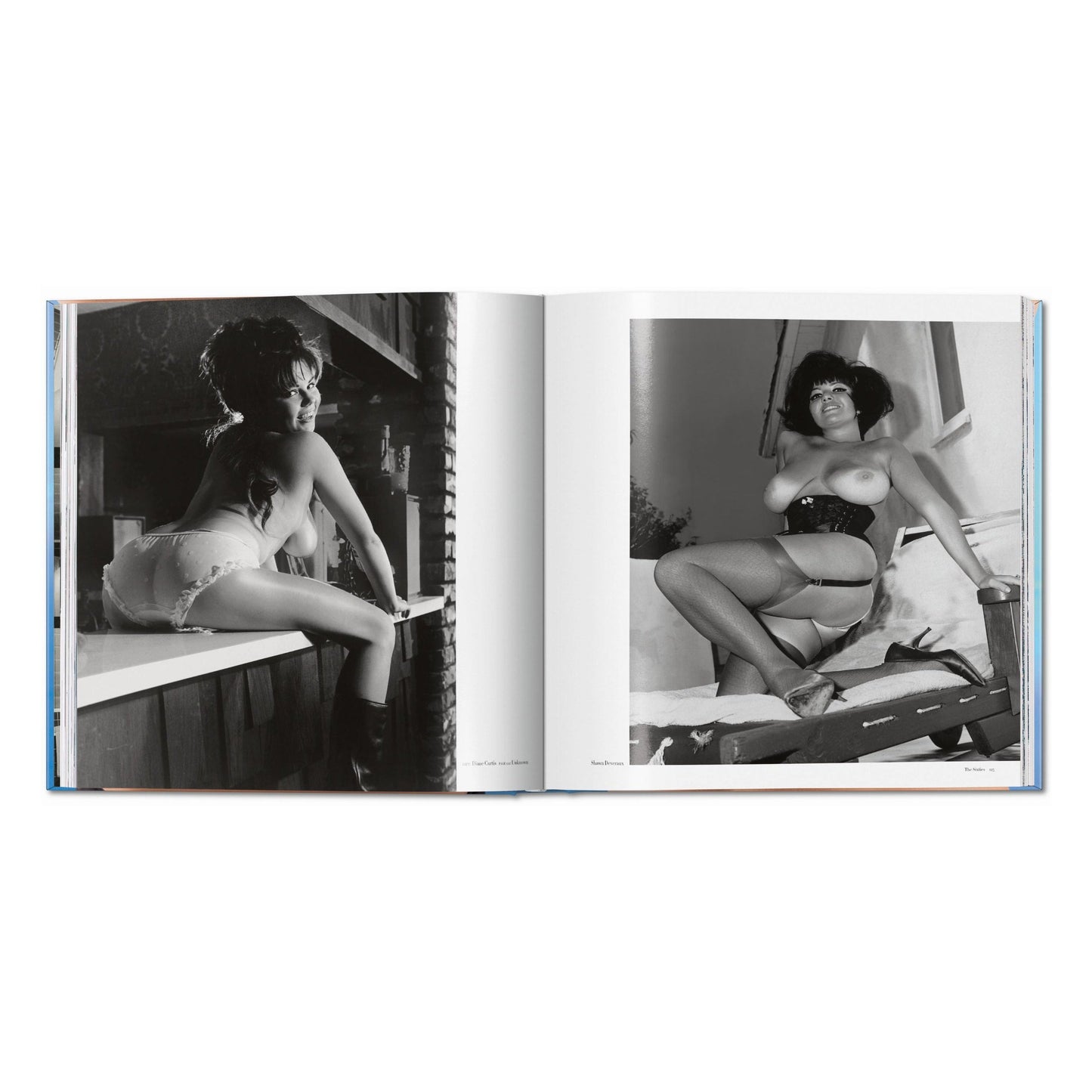 The Big Book of Breasts (German, French, English) Book