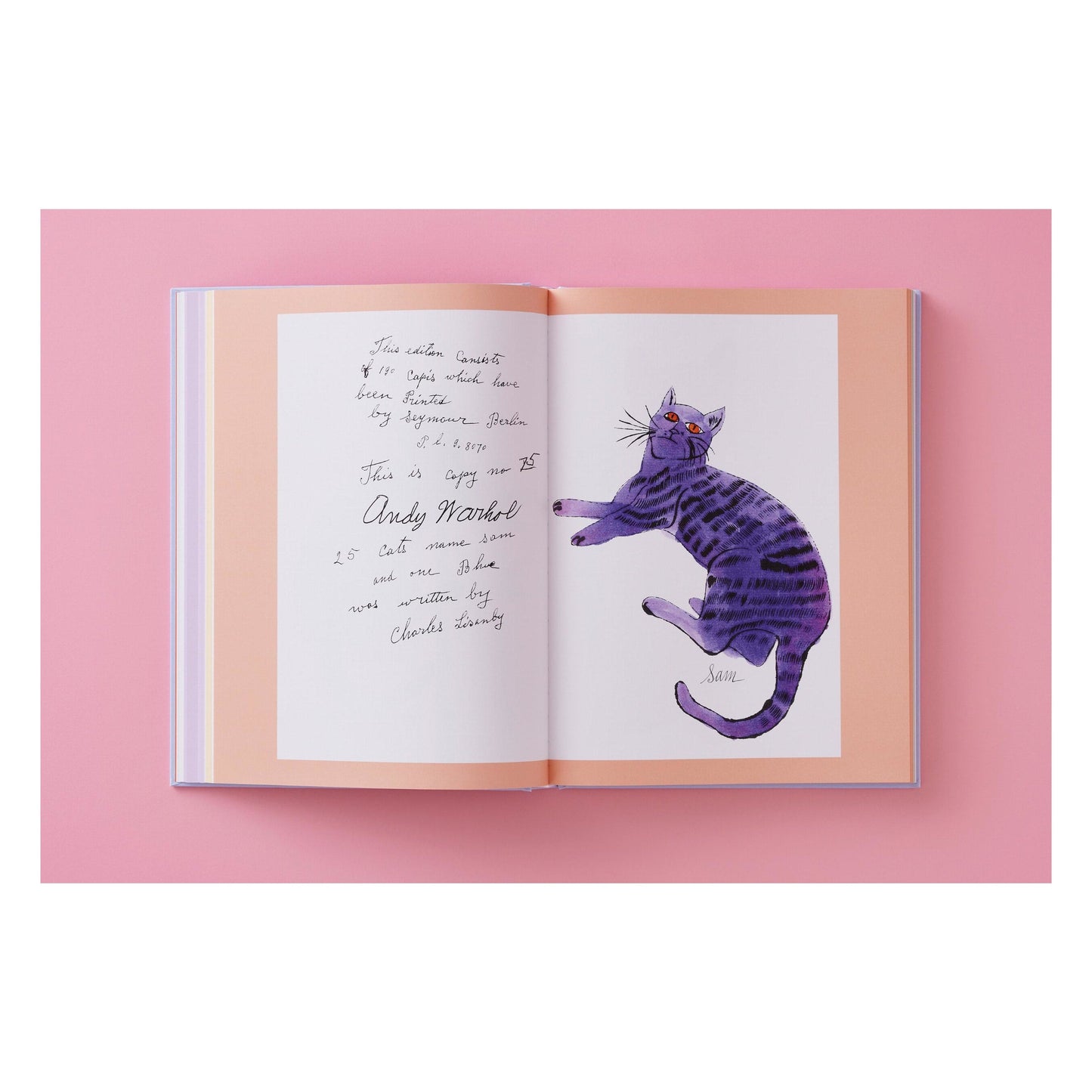 Andy Warhol. Seven Illustrated Books 1952–1959 (German, French, English) Book