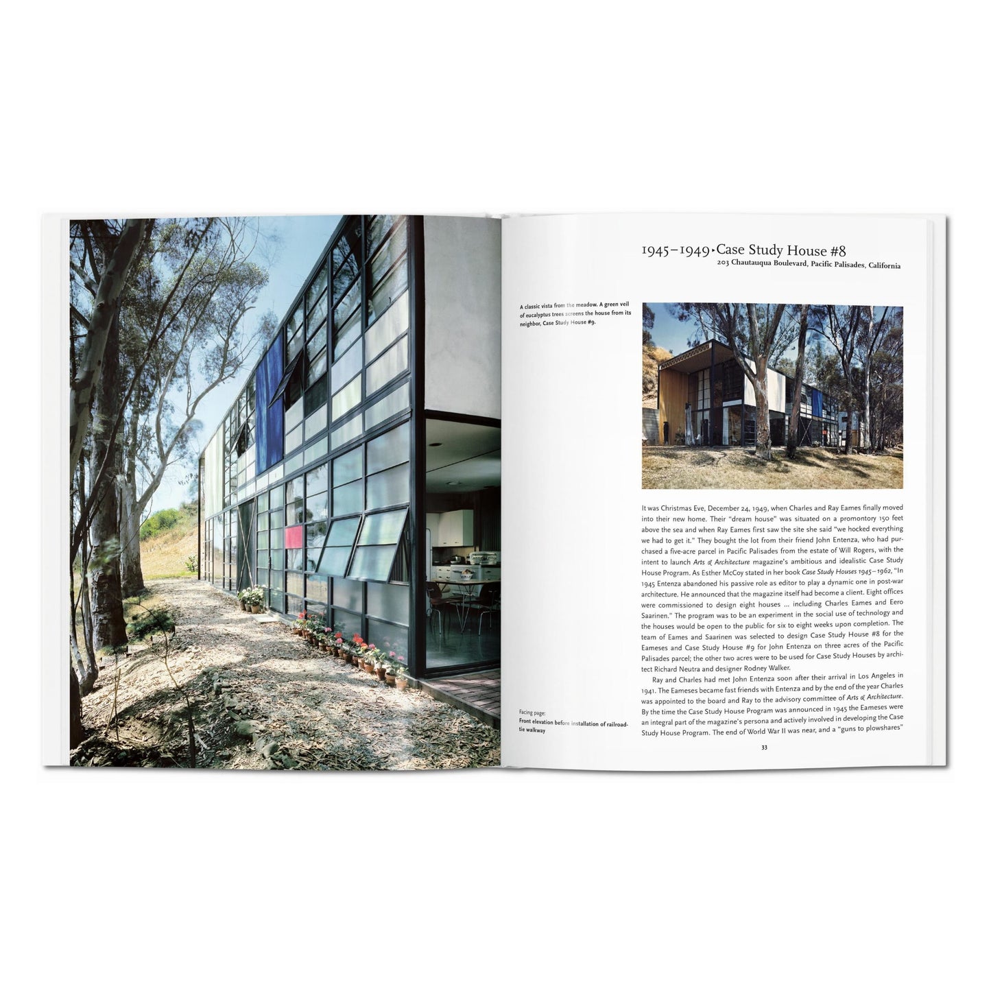 Eames (English) Book
