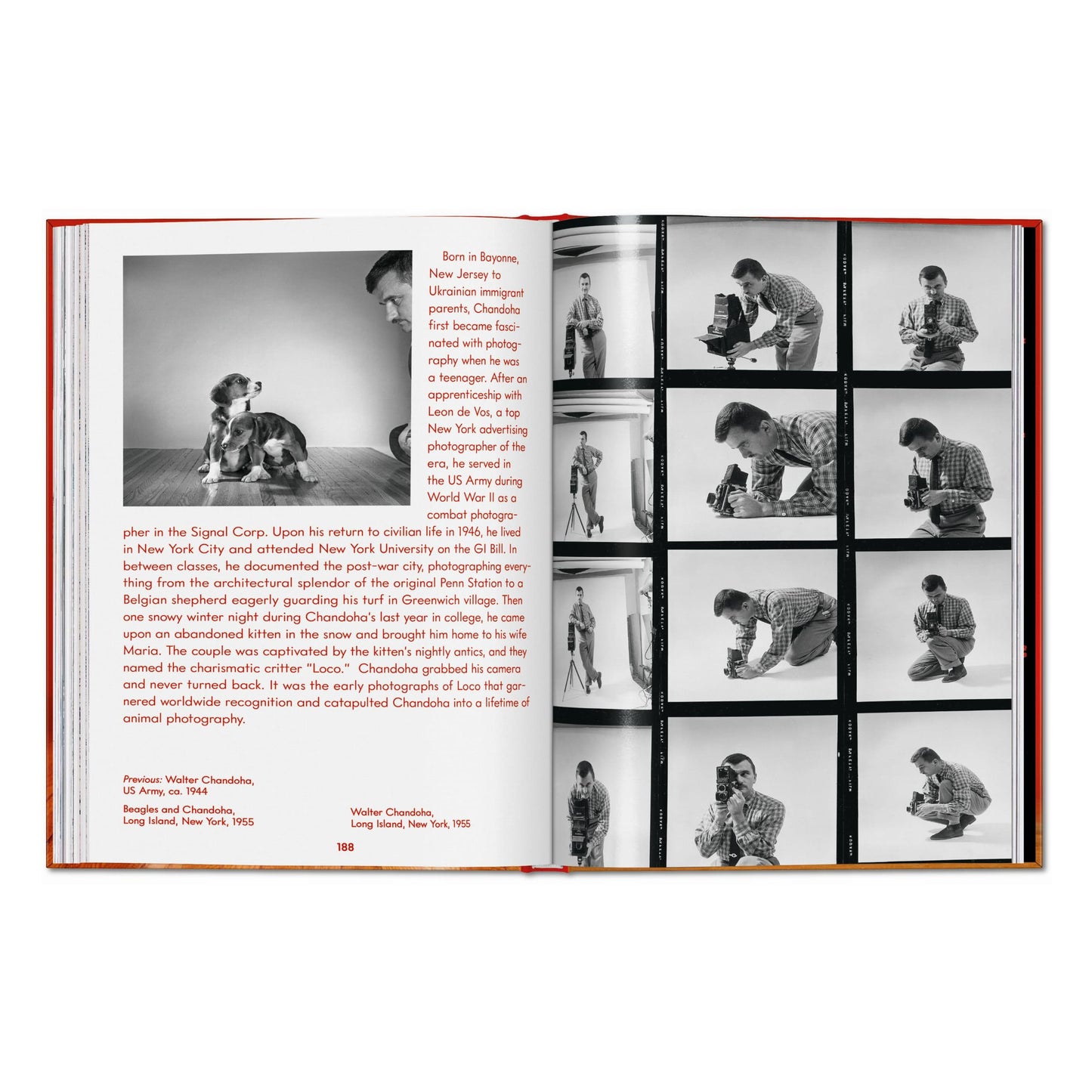 Walter Chandoha. Dogs. Photographs 1941–1991 (English) Book