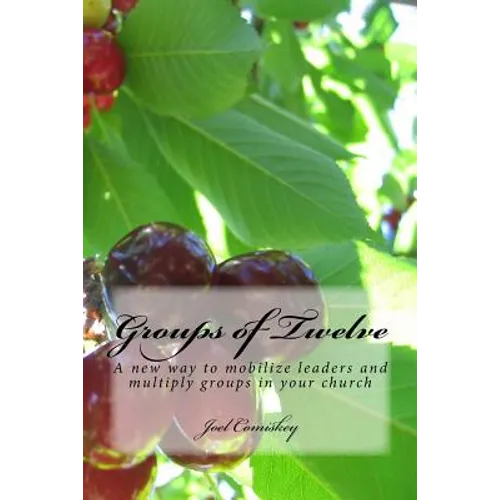 Groups of Twelve: A new way to mobilize leaders and multiply groups in your chur