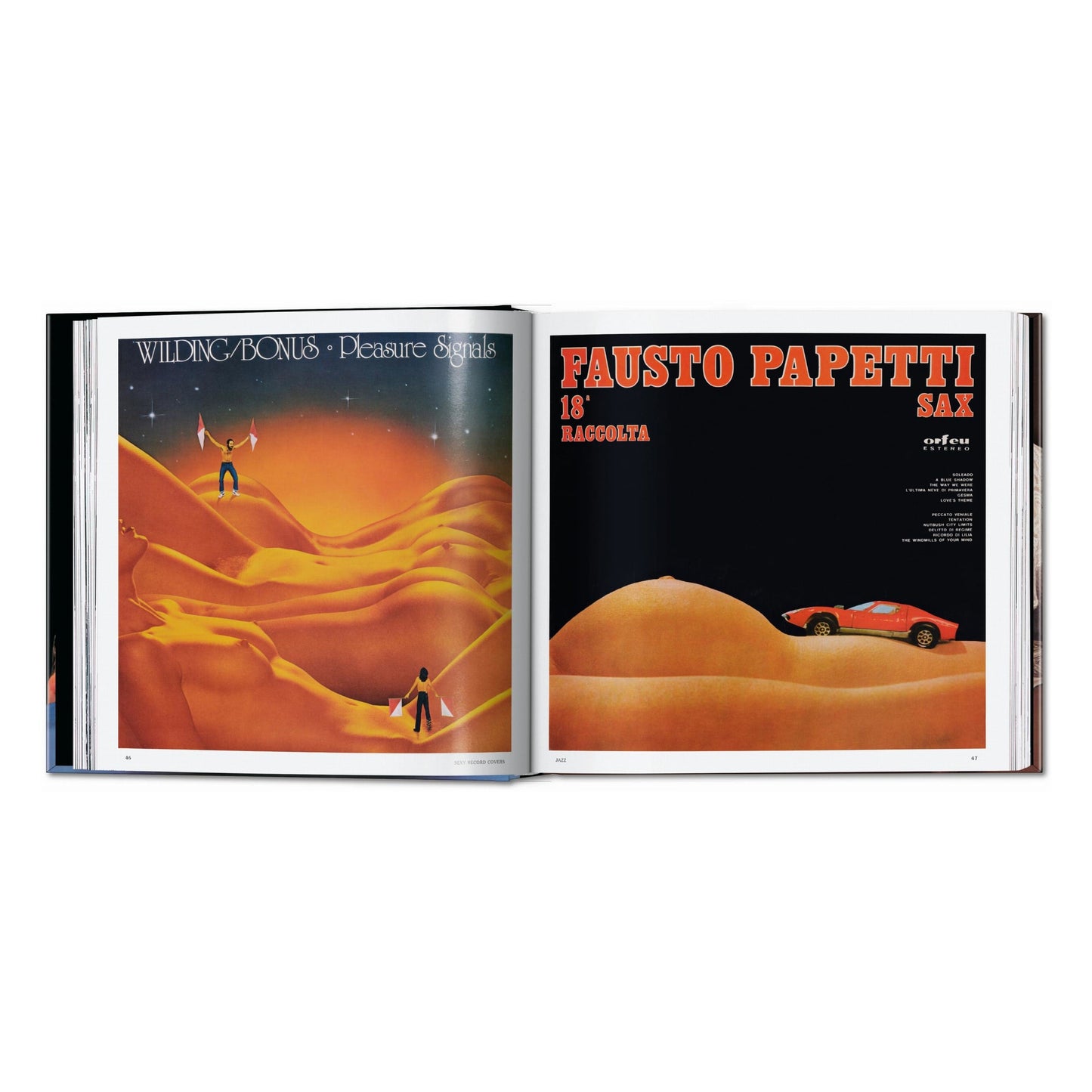 Sexy Record Covers (English) Book