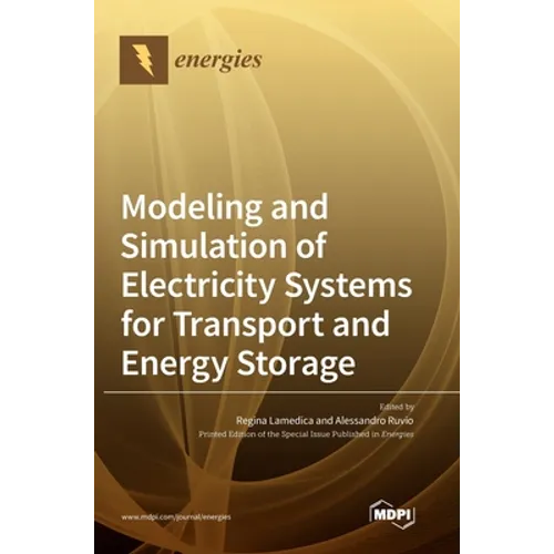 Modeling and Simulation of Electricity Systems for Transport and Energy Storage