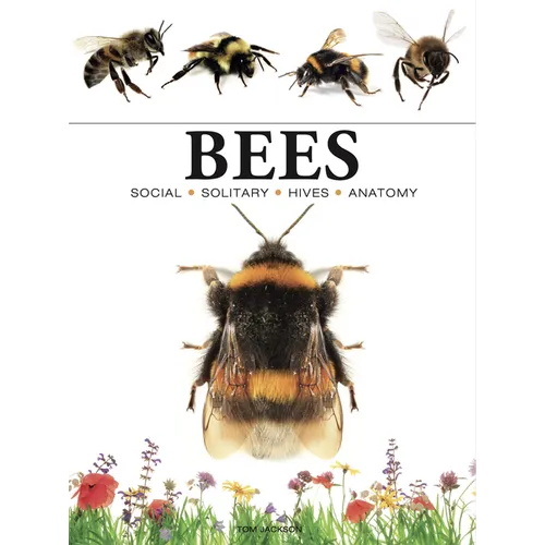 Bees: Heroes of the Garden