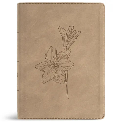 CSB Verse-By-Verse Reference Bible, Digital Study Edition, Earth Suedesoft Leathertouch