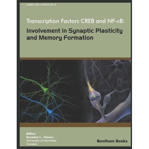 Transcription Factors CREB and NF-KB: Involvement in Synaptic Plasticity and Memory Formation