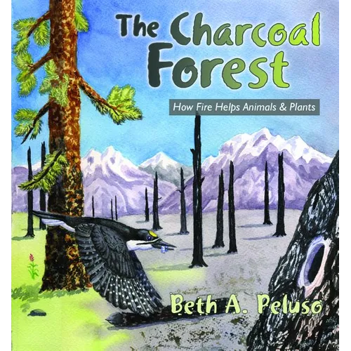 The Charcoal Forest: How Fire Helps Animals and Plants