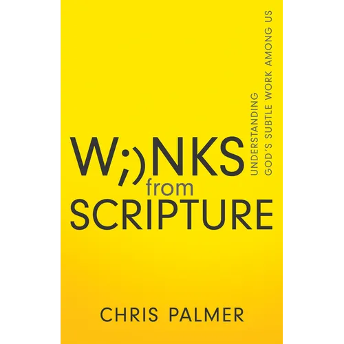 Winks from Scripture: Understanding God's Subtle Work Among Us