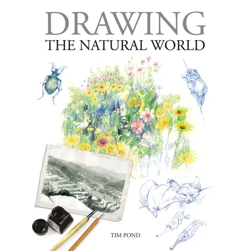 Drawing the Natural World