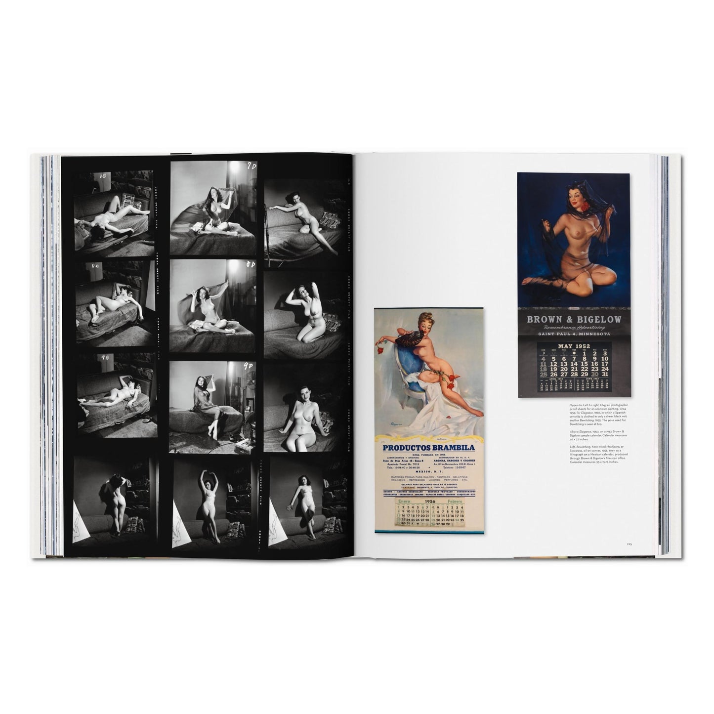 The Art of Pin-up (German, French, English) Book