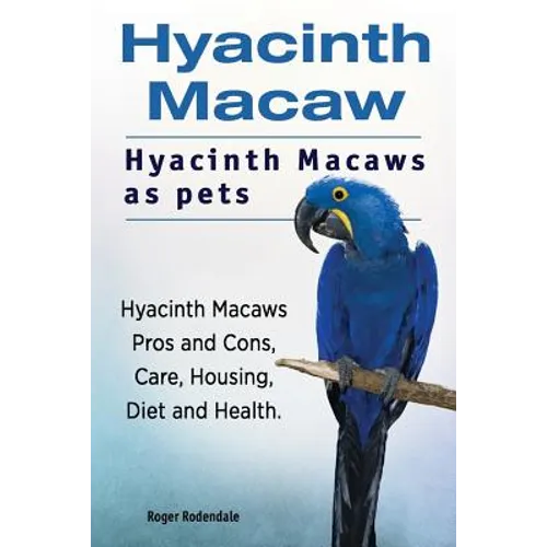 Hyacinth Macaw. Hyacinth Macaws as pets. Hyacinth Macaws Pros and Cons, Care, Housing, Diet and Health.