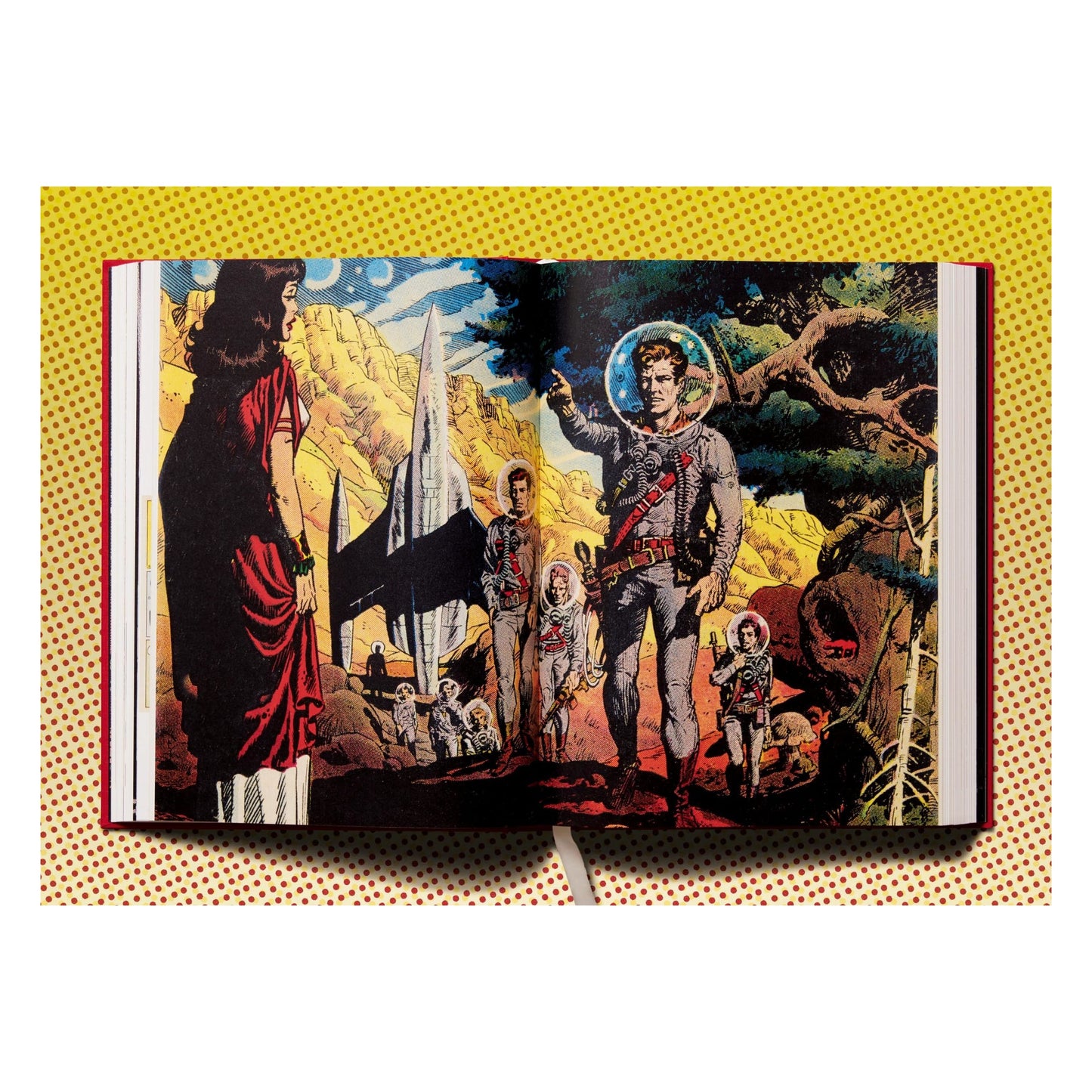 The History of EC Comics (English) Book