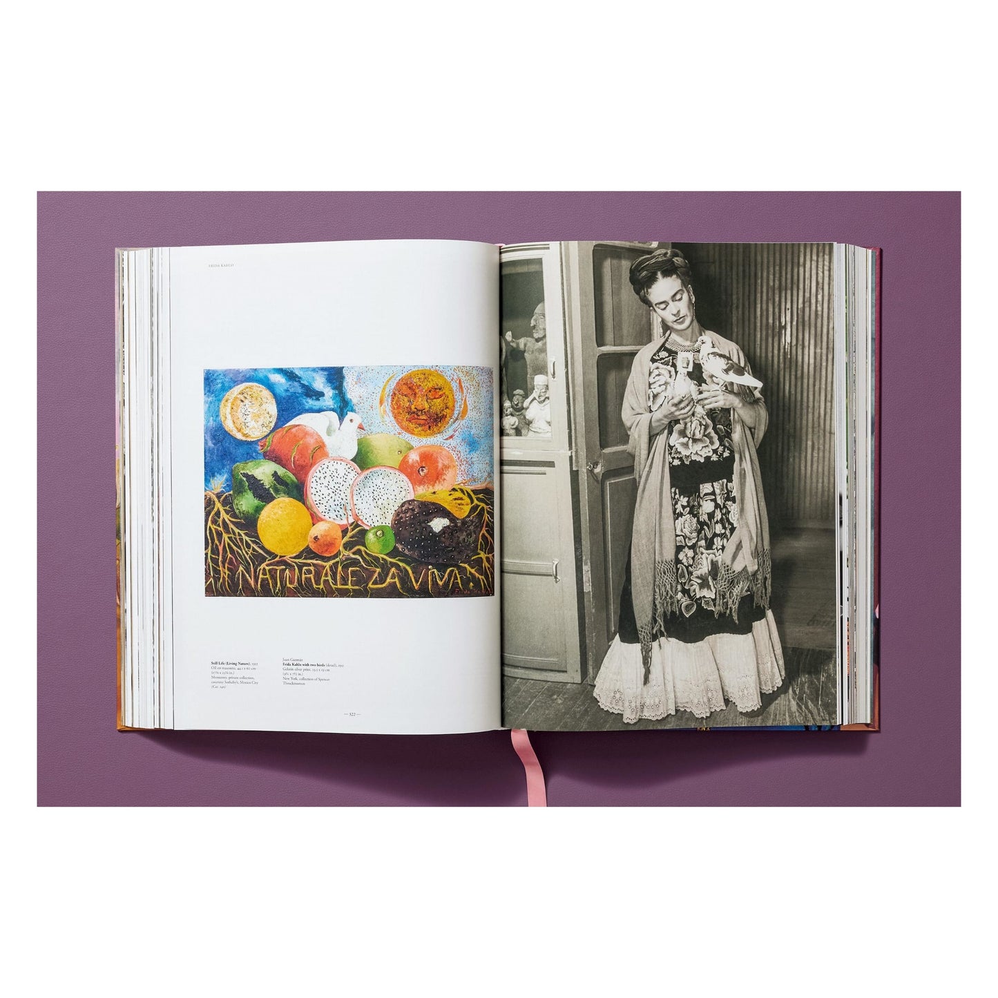 Frida Kahlo. The Complete Paintings (English) Book
