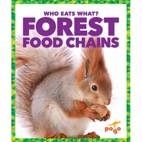 Forest Food Chains