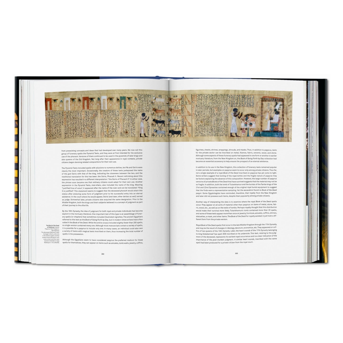 King Tut. The Journey through the Underworld (English) Book