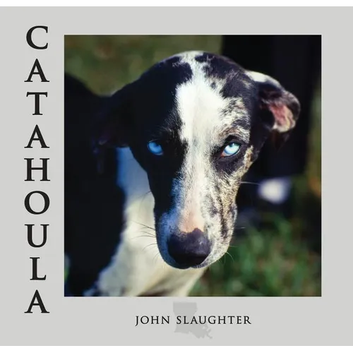 Catahoula: Louisiana State Dog