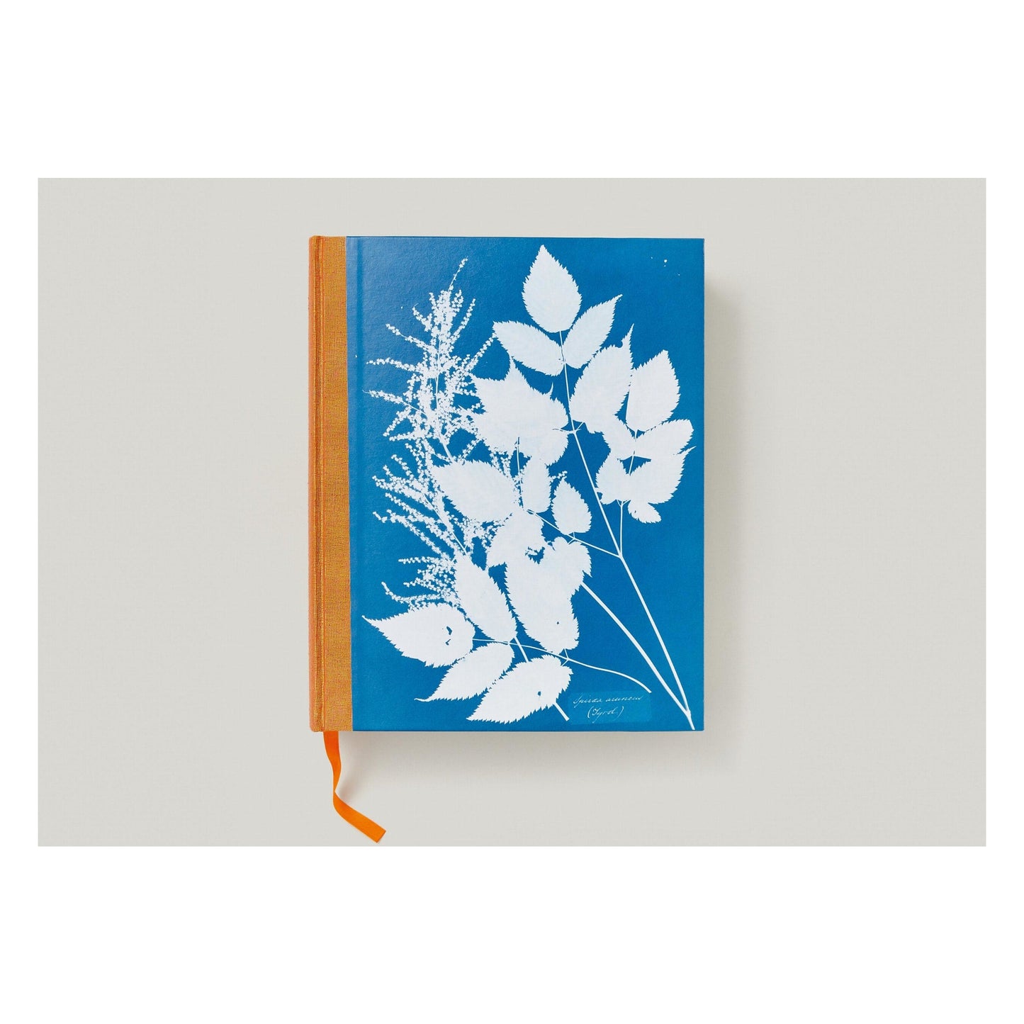 Anna Atkins. Cyanotypes (German, French, English) (FFE) Book