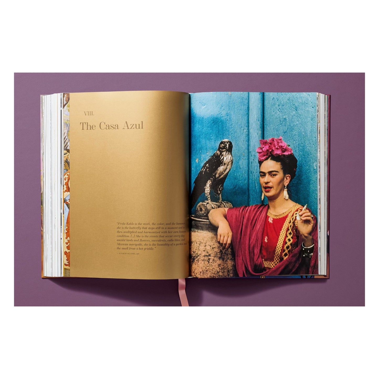Frida Kahlo. The Complete Paintings (English) Book