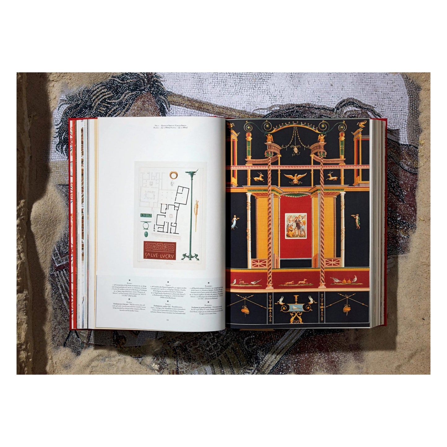 Fausto & Felice Niccolini. Houses and Monuments of Pompeii (German, French, English) Book