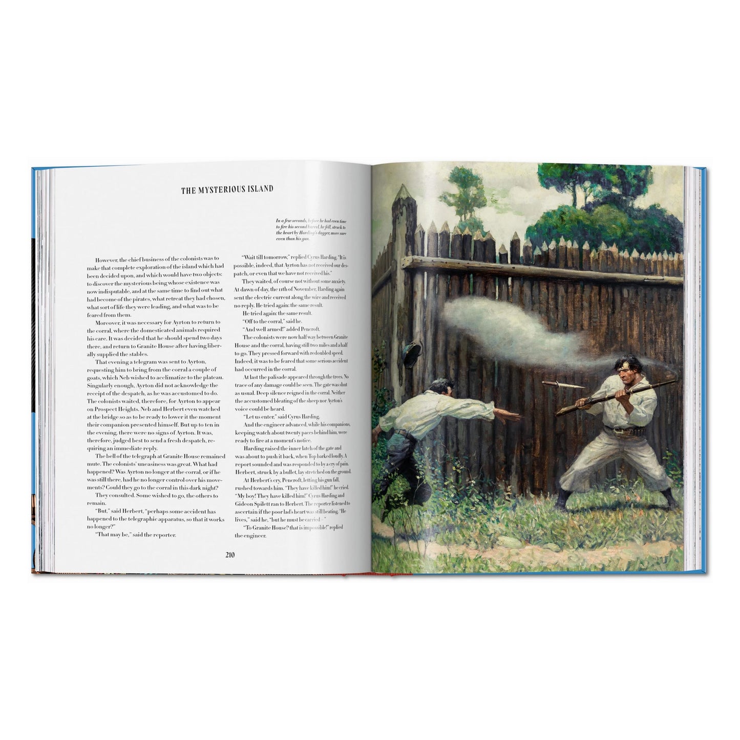 Pirate Tales (English) Book