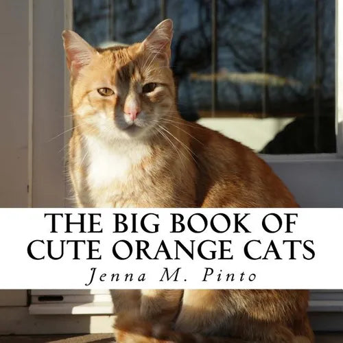 The Big Book of Cute Orange Cats: A text-free book for Seniors and Alzheimer's patients