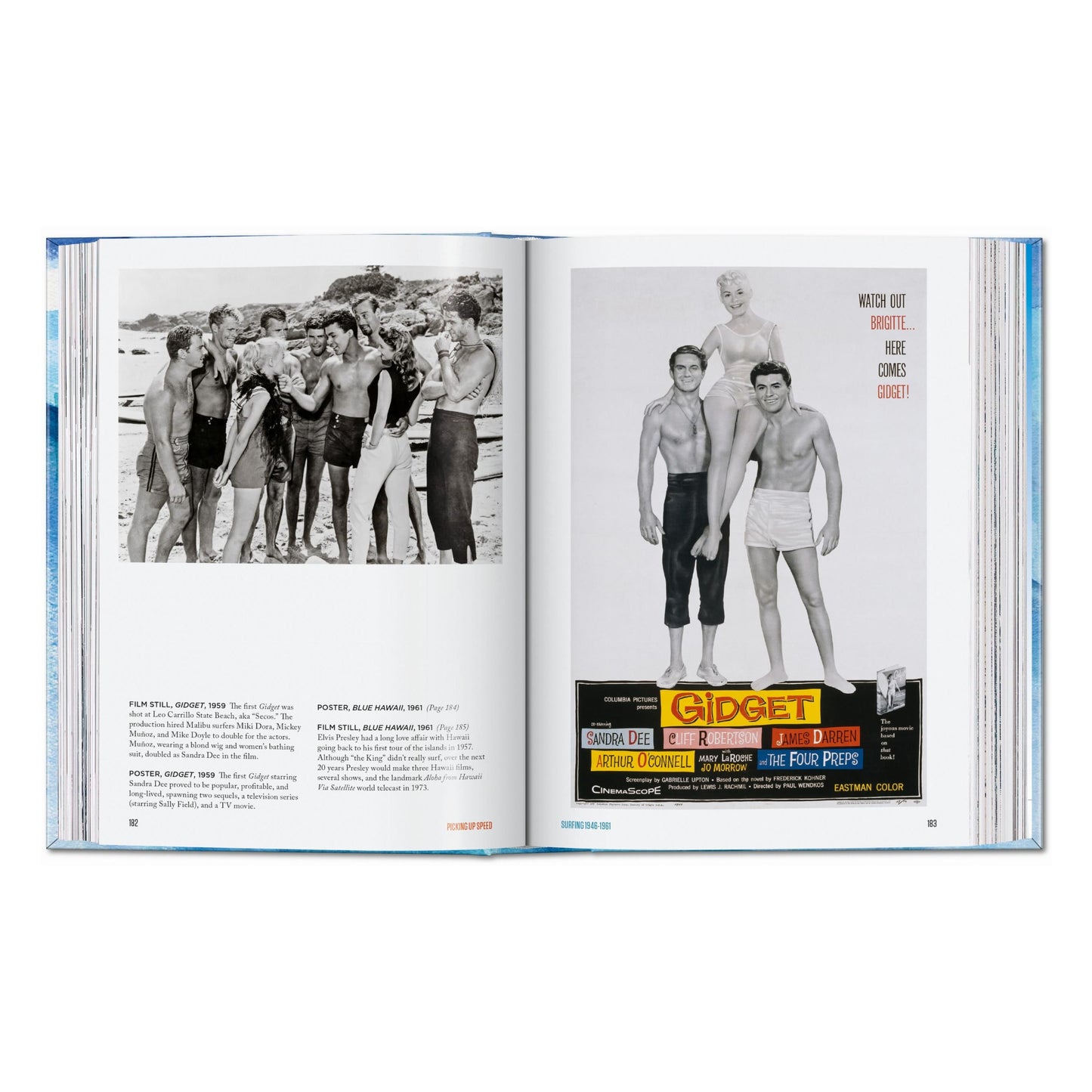 Surfing. 1778–Today. 45th Ed. (English) Book