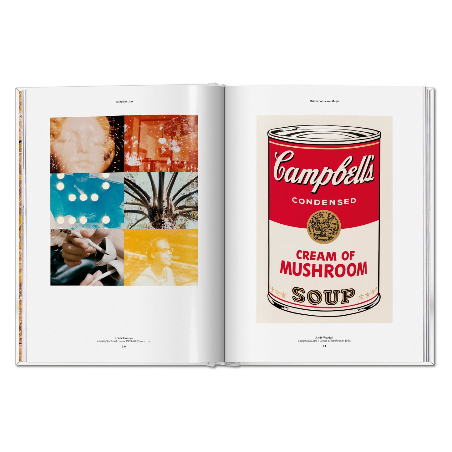 The Gourmand's Mushroom. A Collection of Stories and Recipes (English) Book