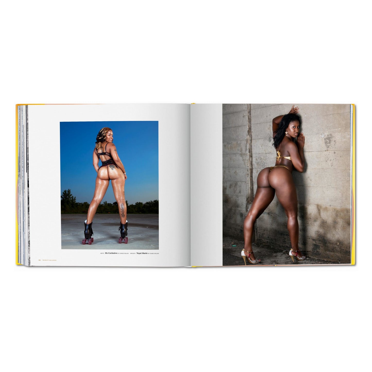 The Big Butt Book (German, French, English) Book