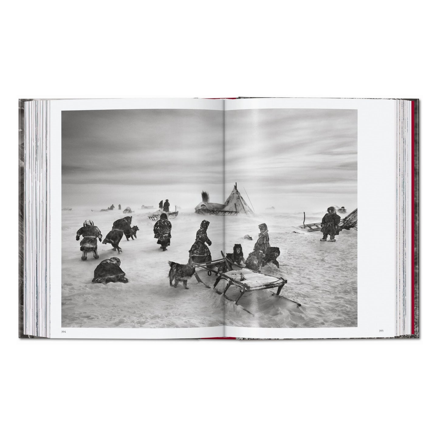 Sebastião Salgado. Genesis. 45th Ed. (English) Book