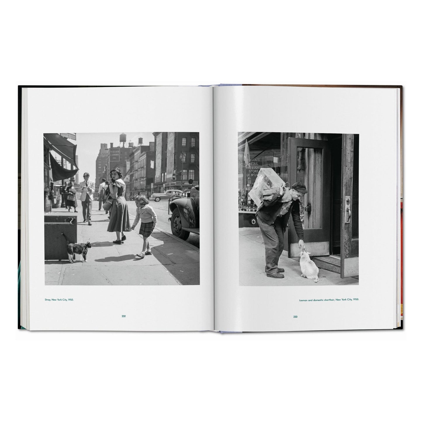 Walter Chandoha. Cats. Photographs 1942–2018 (German, French, English) Book