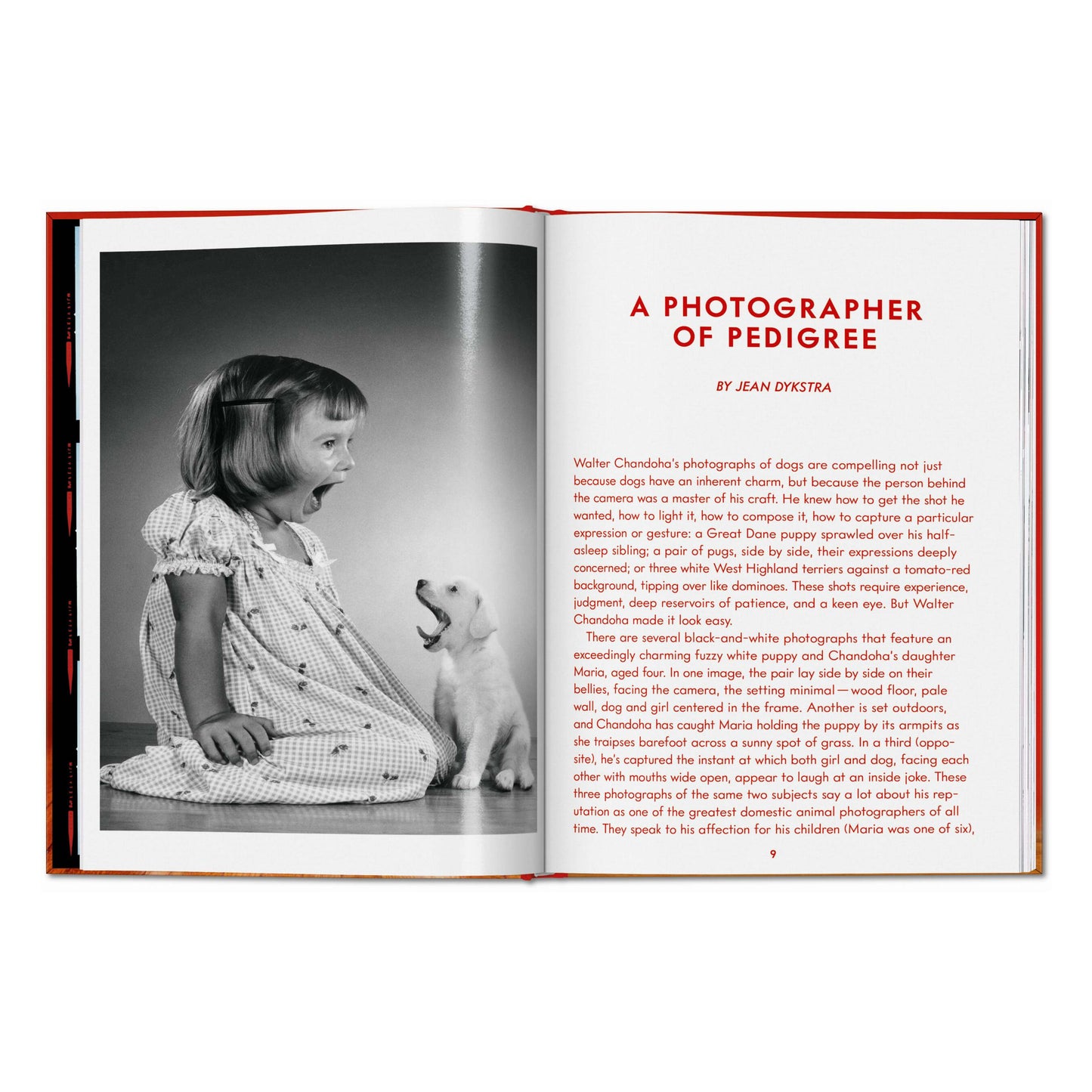 Walter Chandoha. Dogs. Photographs 1941–1991 (English) Book