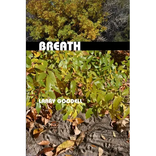 Breath: Poems 2000-2002