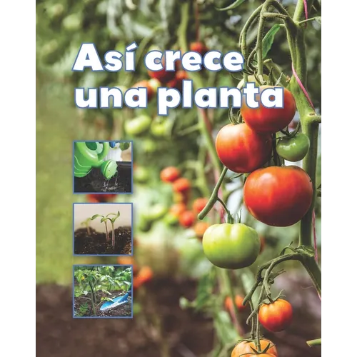 Así Crece Una Planta
