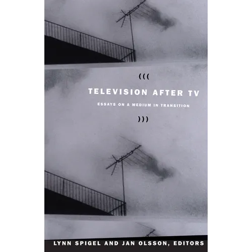 Television after TV: Essays on a Medium in Transition