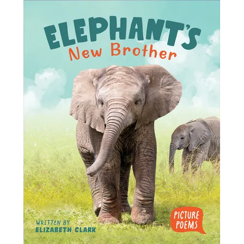 Elephant's New Brother
