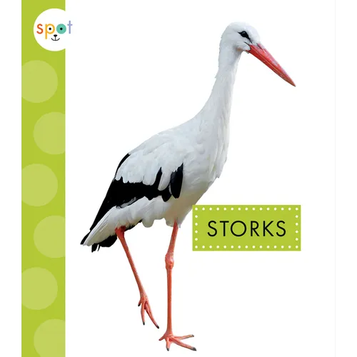 Storks