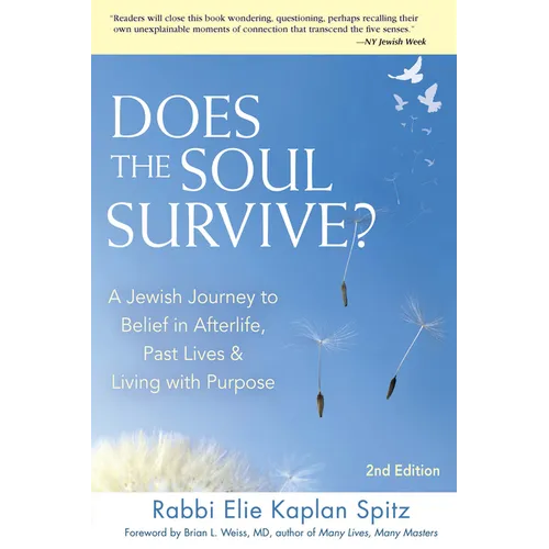 Does the Soul Survive? (2nd Edition): A Jewish Journey to Belief in Afterlife, Past Lives & Living with Purpose