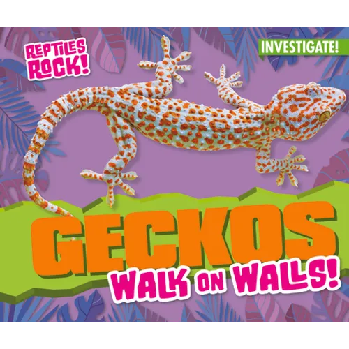 Geckos Walk on Walls!