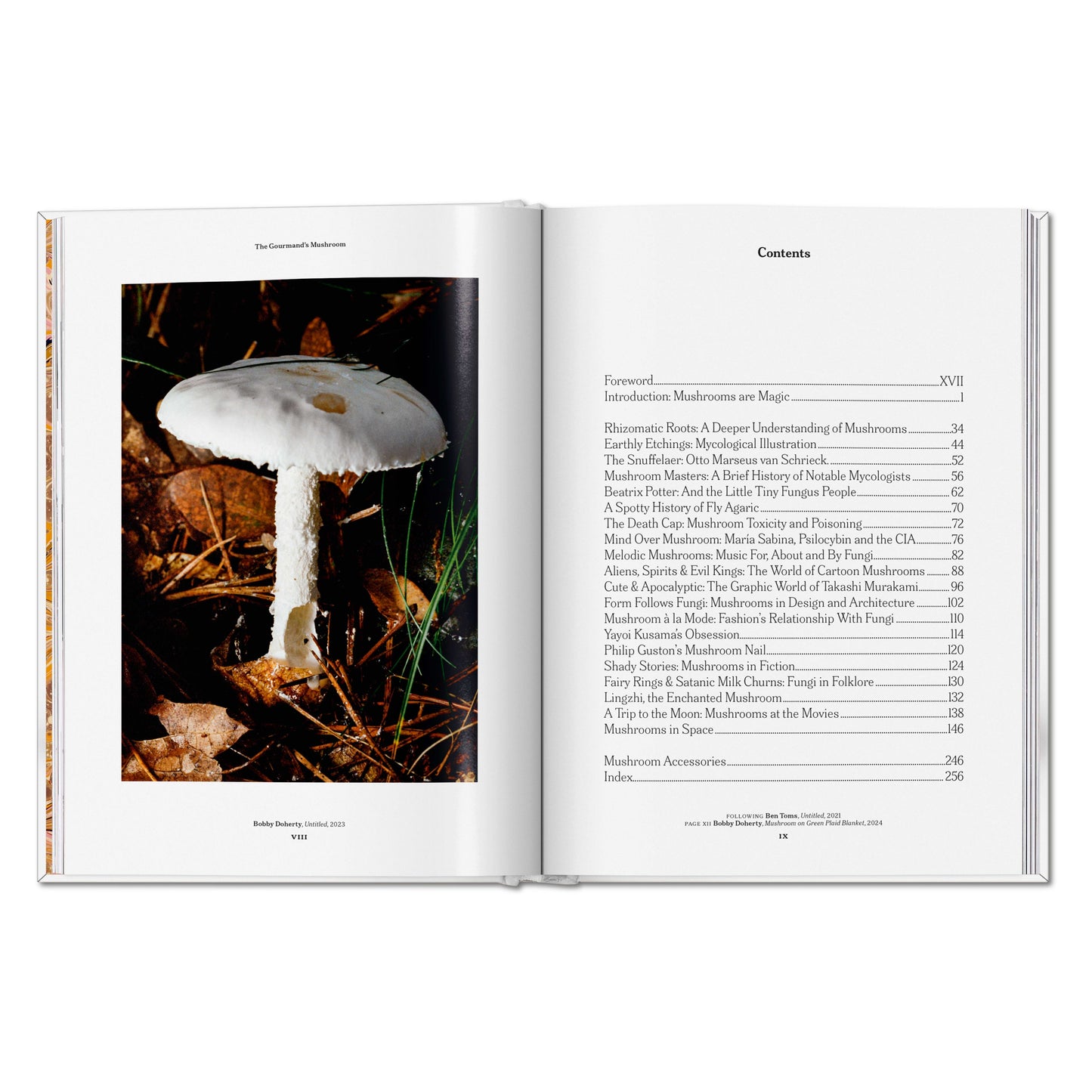 The Gourmand's Mushroom. A Collection of Stories and Recipes (English) Book